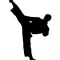karate image silhouette